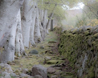 The Magic Between  Fine Art Photography Scotland landscape Mystery Soft Green Dreamy Stone and Wood Outlander Magic Time travel romance love