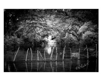 Water Fairy Fence Fine Art Photography Black and White dramatic river dreamy mystical haunting dark water ancient oak trees lhome decor art