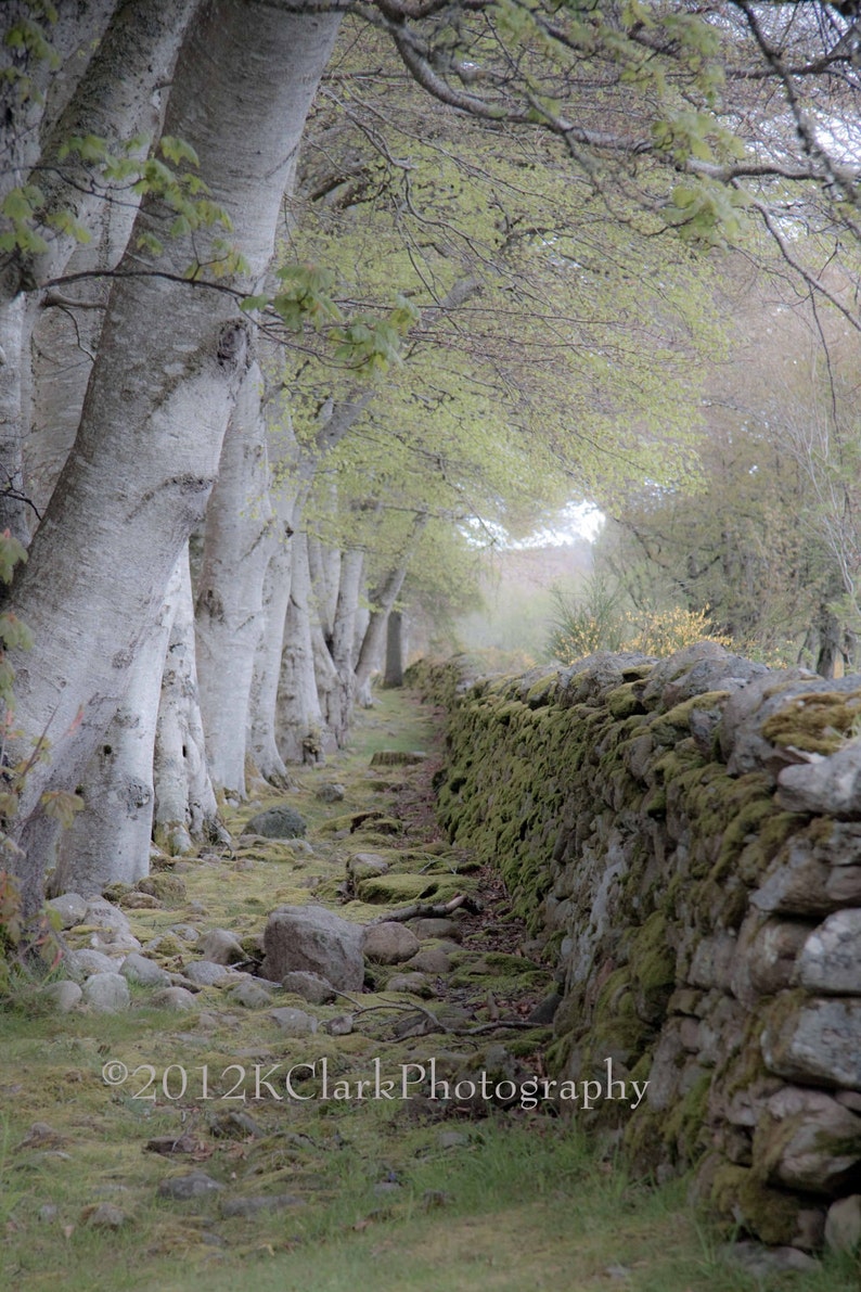 The Magic Between Fine Art Photography Scotland landscape Mystery Soft Green Dreamy Stone and Wood Outlander Magic Time travel romance love image 2