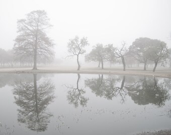 Pond Reflections 16x20 fine art photograph of a winter white pond full of mirror images and foggy morning dreams of Spring