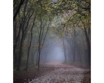 Walk into Mystery Fine Art Photography Foggy pathway Fall colors Falling leaves Texas winter Blue foggy magical woodland romantic home decor