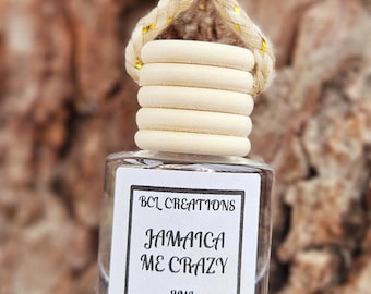 Car Air Freshner, Car Diffuser, Hanging Car Diffuser, Car Freshie, New Car Gift, Car Accessories, Diffuser
