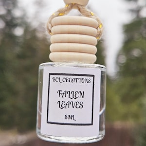 Car Diffuser, Car Air Freshner, Hanging Car Accessories, Car Freshy, Car Diffuser Scents, New Car Gift, Diffuser, Fall Scent
