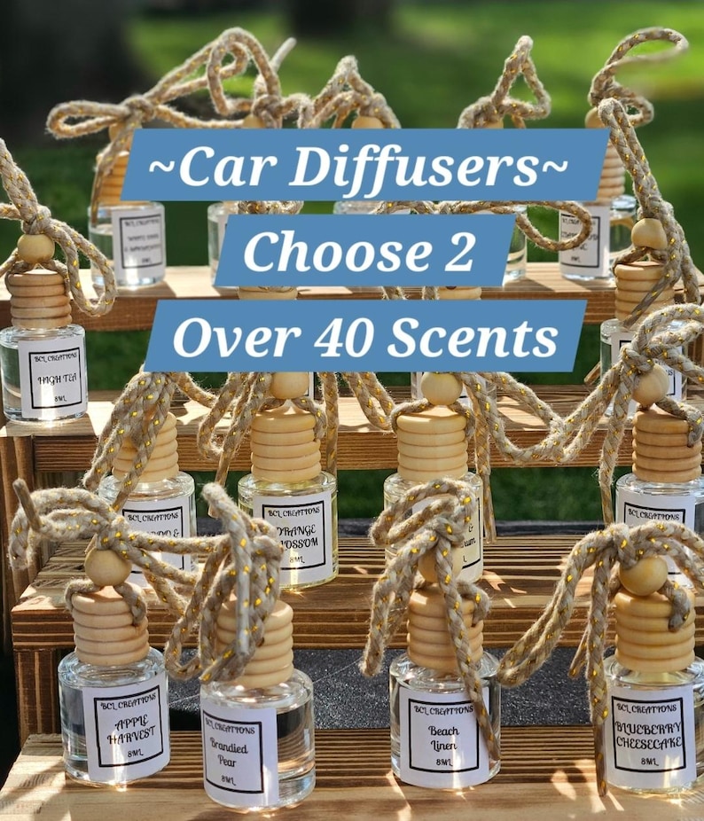Car Air Diffuser, Hanging Car Accessories, New Car Gift, Hanging Accessories, Car Air Diffuser, Car Freshies, Long Lasting Fragrance image 1