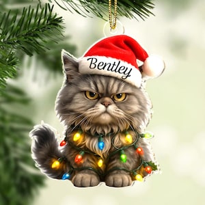 Personalized Persian Cat Christmas Ornament: Funny Persian Mom Gift, Cat First Christmas Decor