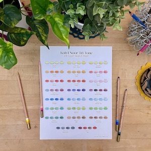 Op de afbeelding: Een gedrukt kleurenkaartje voor Koh-I-Noor Tri-Tone kleurpotloden met 24 kleuren. Het kaartje toont 24 verschillende kleursamples in een regenboogvolgorde, met de kleurnaam en het nummer onder elk sample.