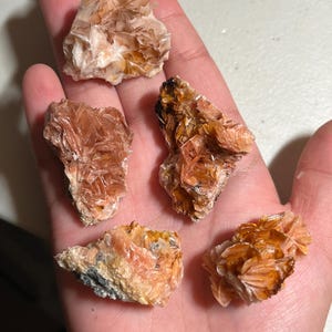 Può includere: Cinque piccoli gruppi di cristalli di colore arancione e bianco. I cristalli sono raggruppati in una formazione naturale grezza.