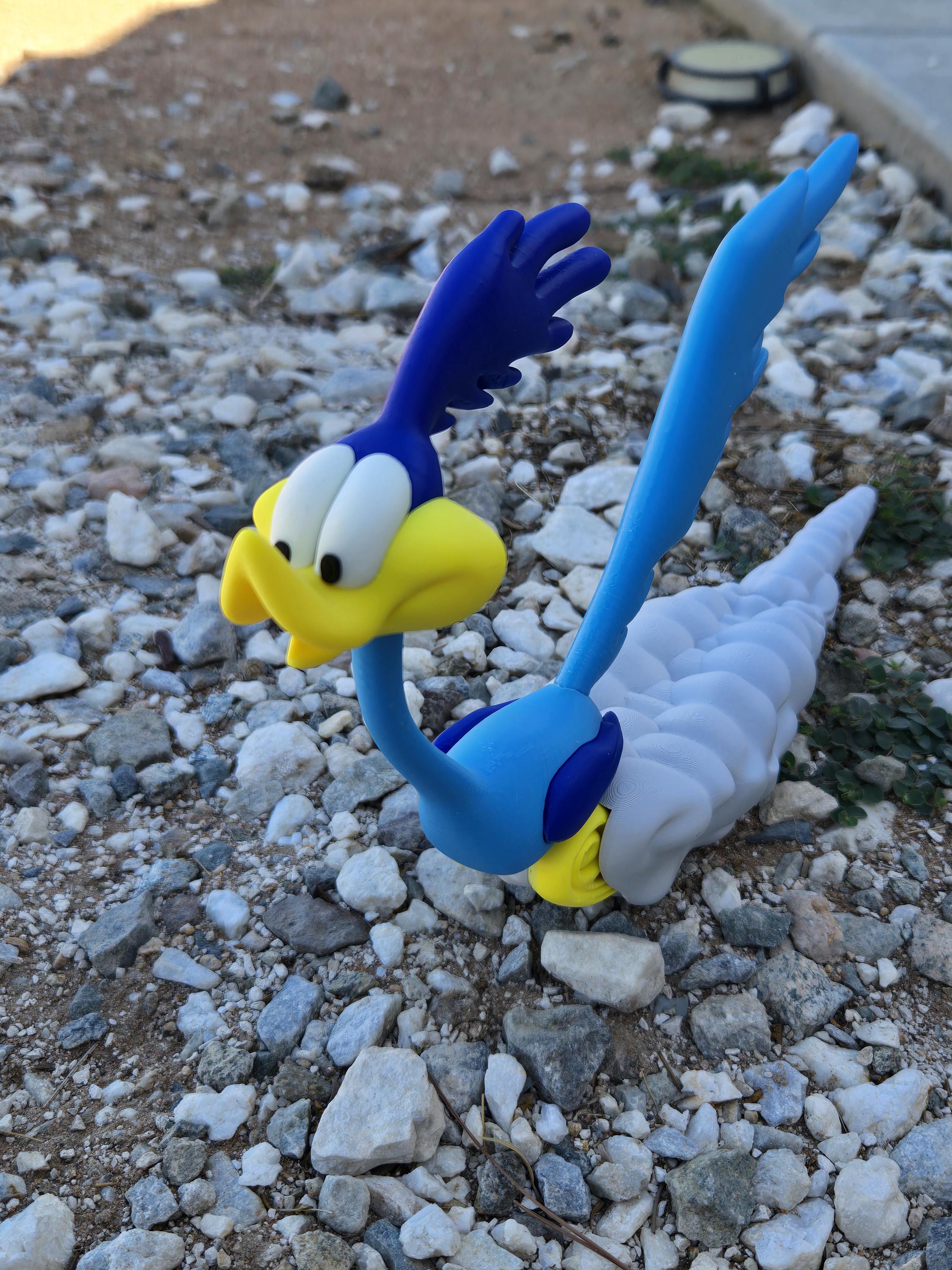 Looney Toons, Custom 3D Printer Road Runner - Etsy
