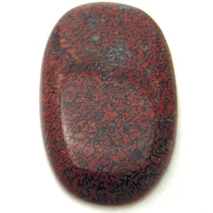 Unusual Dinosaur Bone Cabochon