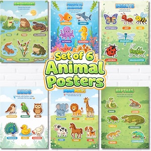 Puede incluir: Juego de 6 carteles educativos de animales. Cada cartel presenta ilustraciones coloridas de animales, incluyendo anfibios, animales acuáticos, insectos, aves, mamíferos y reptiles. Los carteles están diseñados con fines educativos.