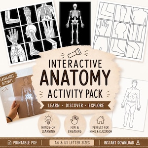 Könnte beinhalten: Ein interaktives Anatomie-Aktivitätspaket mit druckbaren PDF-Seiten, die schwarz-weiße Strichzeichnungen menschlicher Körperteile, ein vollständiges Skelett und eine Taschenlampen-Aktivitätsseite enthalten. Der Text lautet INTERACTIVE ANATOMY ACTIVITY PACK.