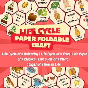 以下が含まれることがあります： 「Life Cycle Paper Foldable Craft」と題された、カラフルな教育用チャート。 蝶、カエル、鶏、植物のライフサイクルと、人間の生活段階を示しています。 チャートは六角形の形でデザインされています。