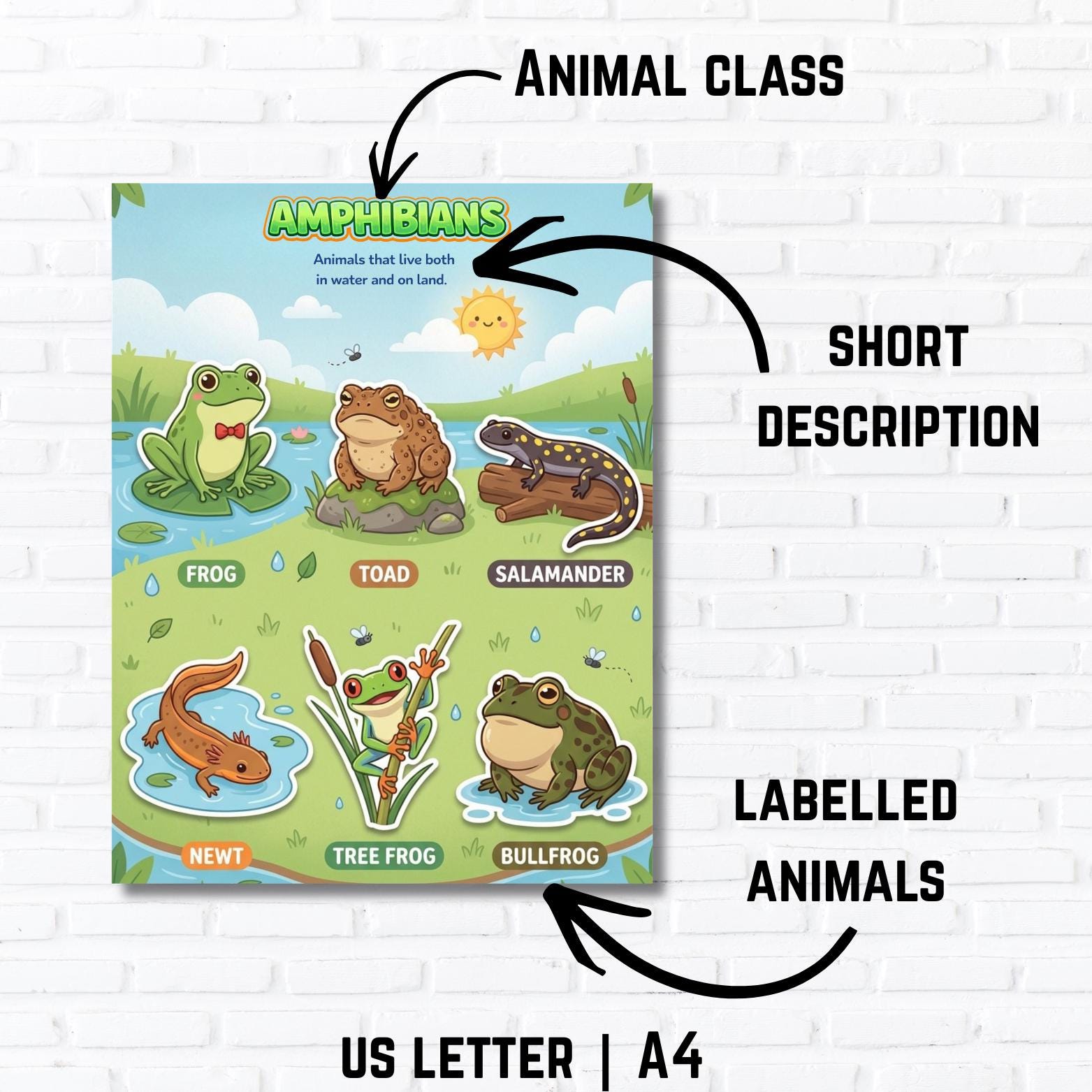 Set of 6 Animal Classification Posters – Kids Science Learning Charts ...