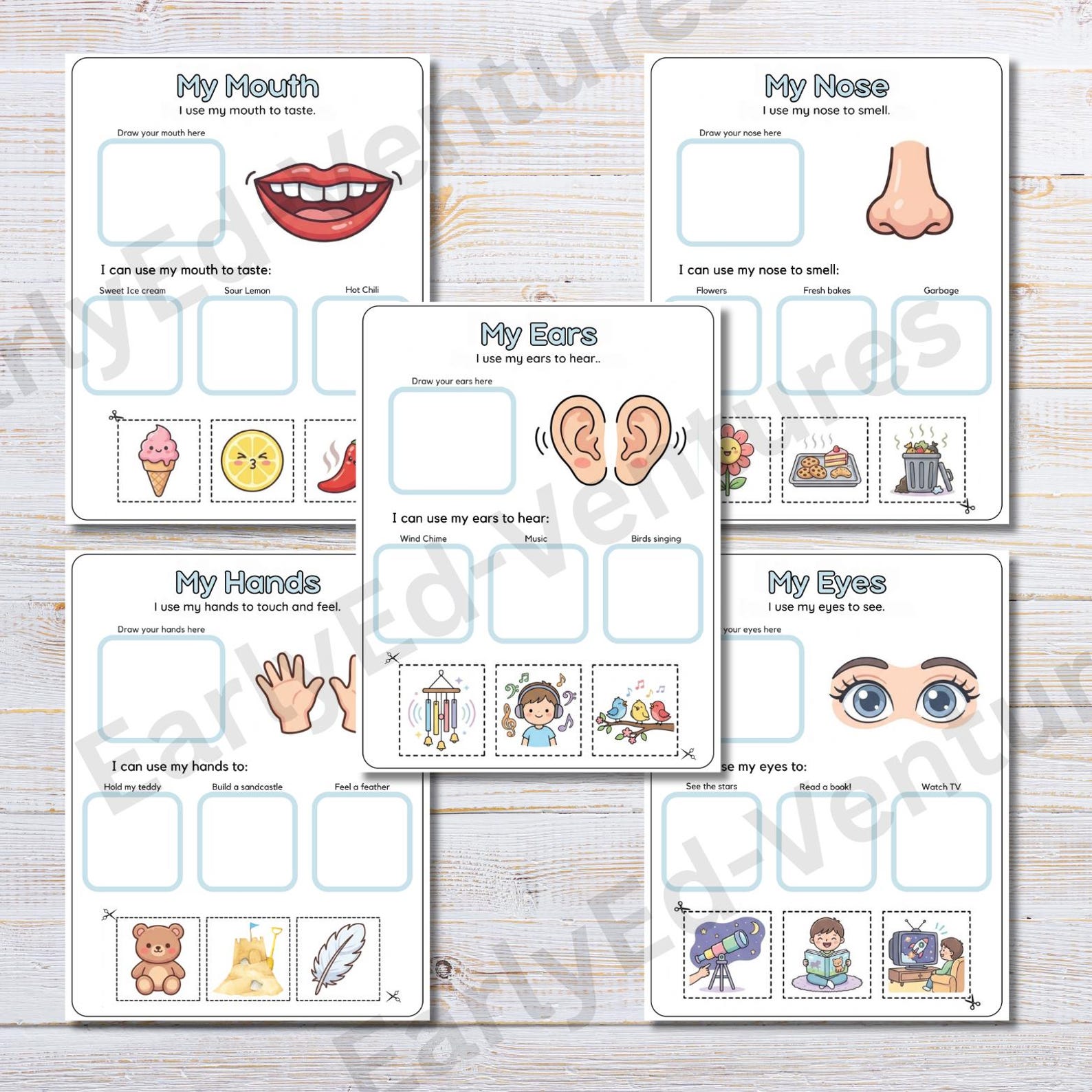 5 Senses Worksheets for Preschool | Cut and Paste Science Activities ...