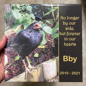 May include: A square memorial plaque featuring a photograph of a black chicken standing on a wooden border in a garden. The right side is black with gold text reading: No longer by our side, but forever in our hearts, Bby, and 2010 - 2021.