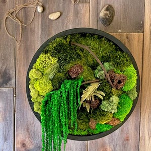 保存された苔を使ったアート。苔を使った壁面装飾。円形の苔アート。苔と木の壁アート。苔と岩の絵画