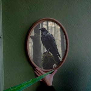 Op de afbeelding: Een zwarte raaf die op een mossige tak zit in een mistig bos, ingelijst in een ovale houten spiegel.