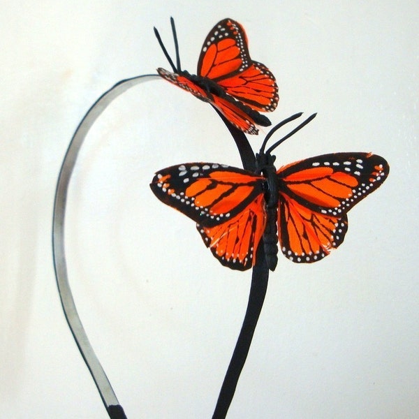 Monarch Butterflies