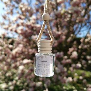 Peut inclure: Petite bouteille en verre transparent avec un bouchon en bois et une cordelette. La bouteille contient un liquide et porte une étiquette avec du texte. En arrière-plan, des fleurs roses floues et un ciel bleu.