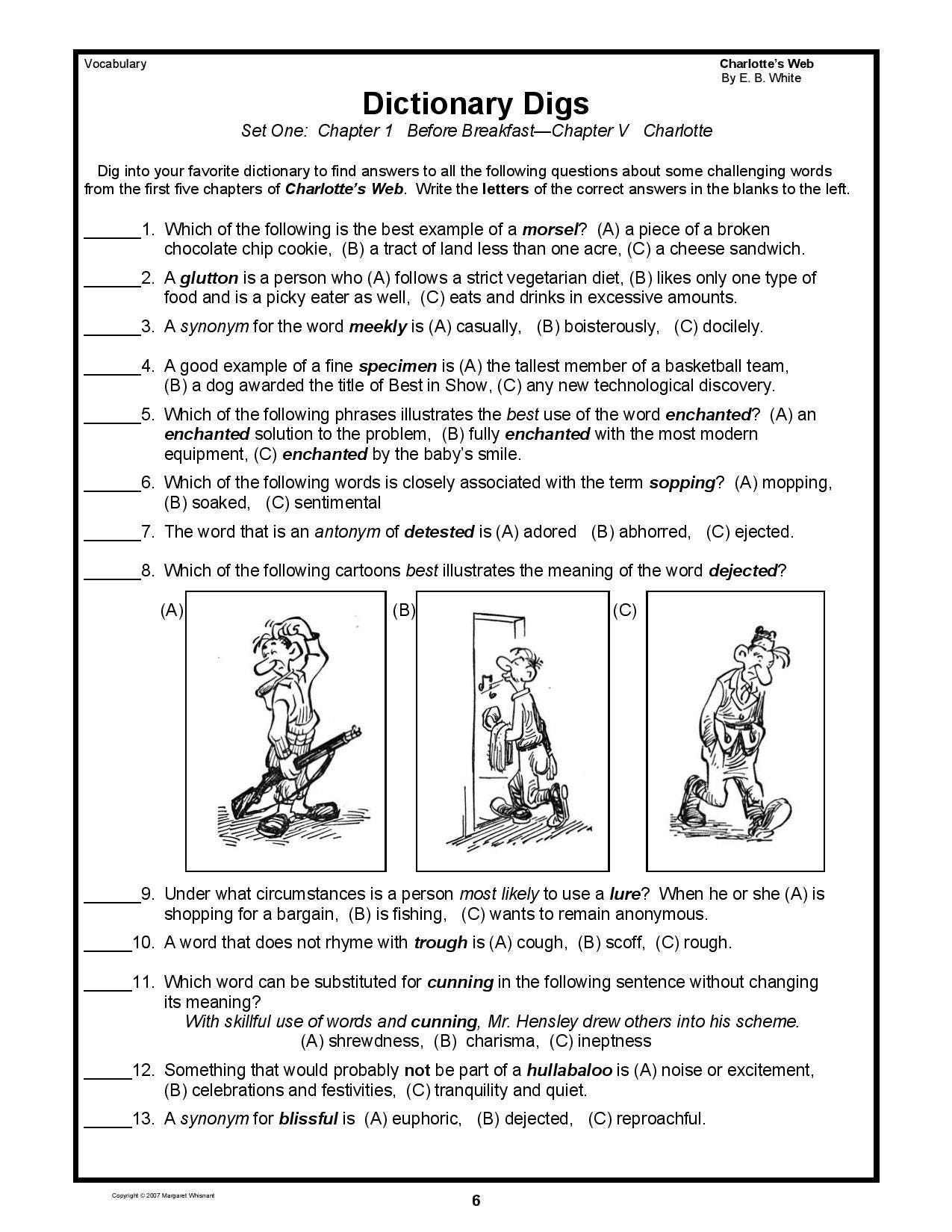 Charlotte S Web Teaching Guide Etsy