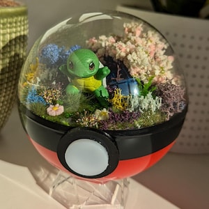 Terrarium de Pokémon fait main Pokeball Carapuce. Fait maison, Diarama - Pikachu, Bulbizarre, Salamèche, Évoli