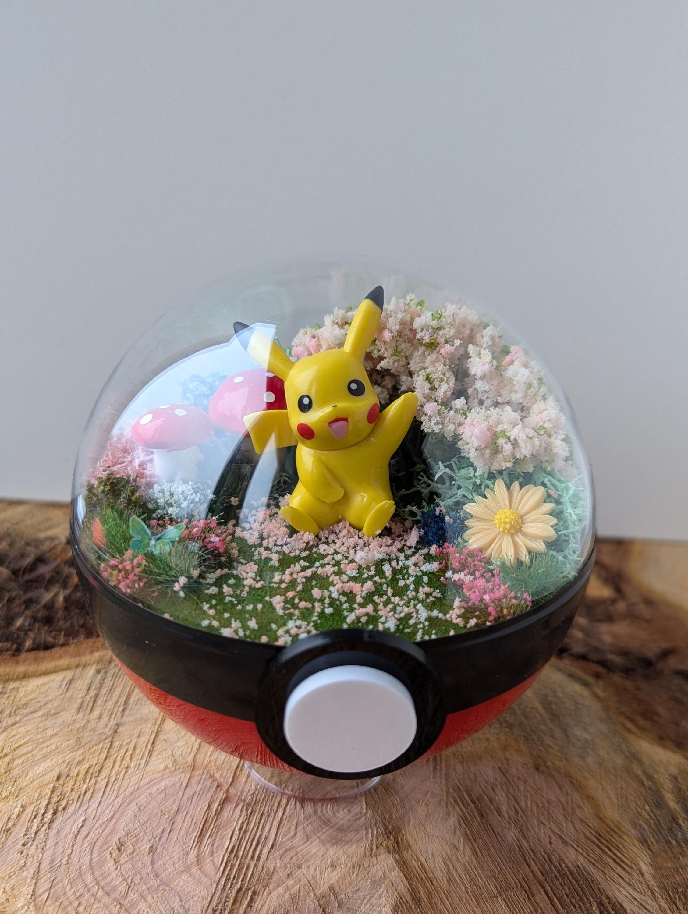 Terrario Pokemon fatto a mano con Pikachu che sventola Poké Ball. Fatto in casa, Diarama - Squirtle, Bulbasaur, Charmander, Eevee, Snorlax