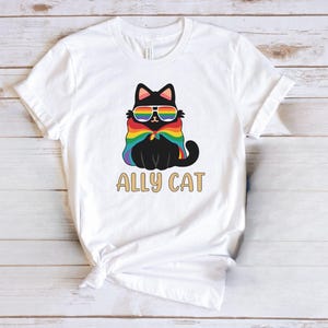 Pride Ally Cat Shirt, Retro Rainbow Colors Cat Ally Shirt, Cat Pride Shirt, Funny Pride Shirt, LGBTQ Shirt, LGBT Gifts, Love Is Love T-Shirt