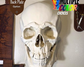 Grote anatomische menselijke schedel muurdecoratie - gotische halloweenkunst