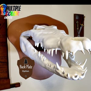 Peut inclure: Une tête de crocodile blanche détaillée avec des dents pointues, montée sur une plaque arrière marron. Le texte "MULTIPLE COLOR CHOICES" est en haut à gauche. Une petite plaque avec le texte "Back Plate Option" est en dessous.