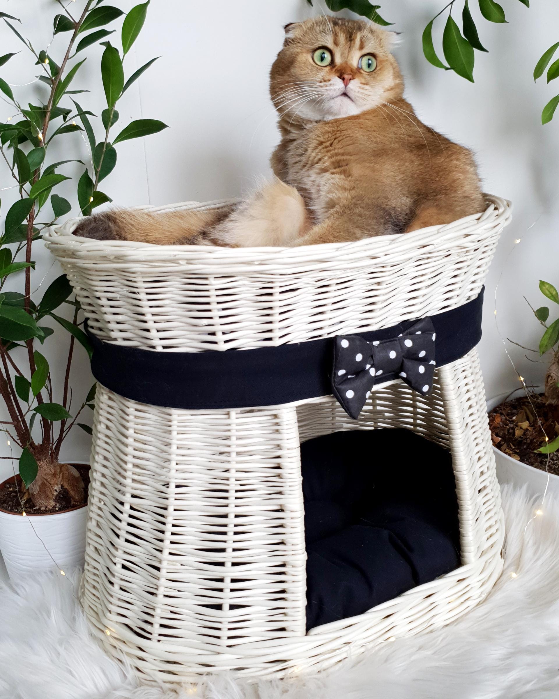 Cama De Mimbre Para Gatos SMELEYOU - 2 En 1 Con Cojín, 38x13 Cm | Resistente A Arañazos, Interior Cómodo