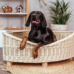 Op de afbeelding: Een zwarte en bruine hond ligt in een lichtgekleurd rieten hondenmand. De poten van de hond rusten op de rand van het bed. Het bed staat op een ronde, geweven mat. Op de achtergrond staat een houten plank met decoratieve items.