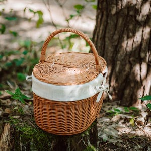 May include: A brown wicker picnic basket with a white fabric lining and a handle. The basket is sitting on a tree stump in a forest setting.