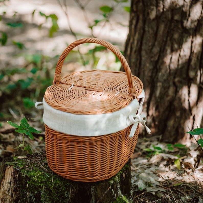 May include: A brown wicker picnic basket with a white fabric lining and a handle. The basket is sitting on a tree stump in a forest setting.