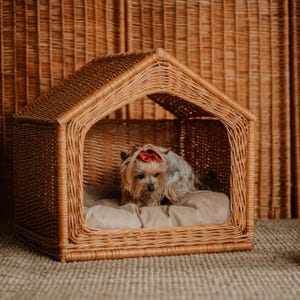 Op de afbeelding: Een kleine hond met een rode strik zit in een rieten hondenhuis. Het hondenhuis is bruin en heeft een puntdak. De hond kijkt naar de camera.