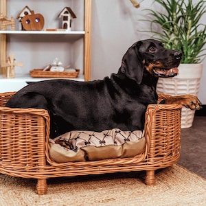 Elegante ronde rieten hondenbank met poten – groot premium bed met lage instap, omkeerbaar kussen, gevlochten rand & eenvoudig schoon