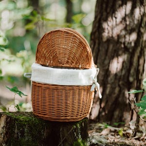 May include: A brown wicker picnic basket with a white linen lining. The basket is sitting on a tree stump in a forest setting.