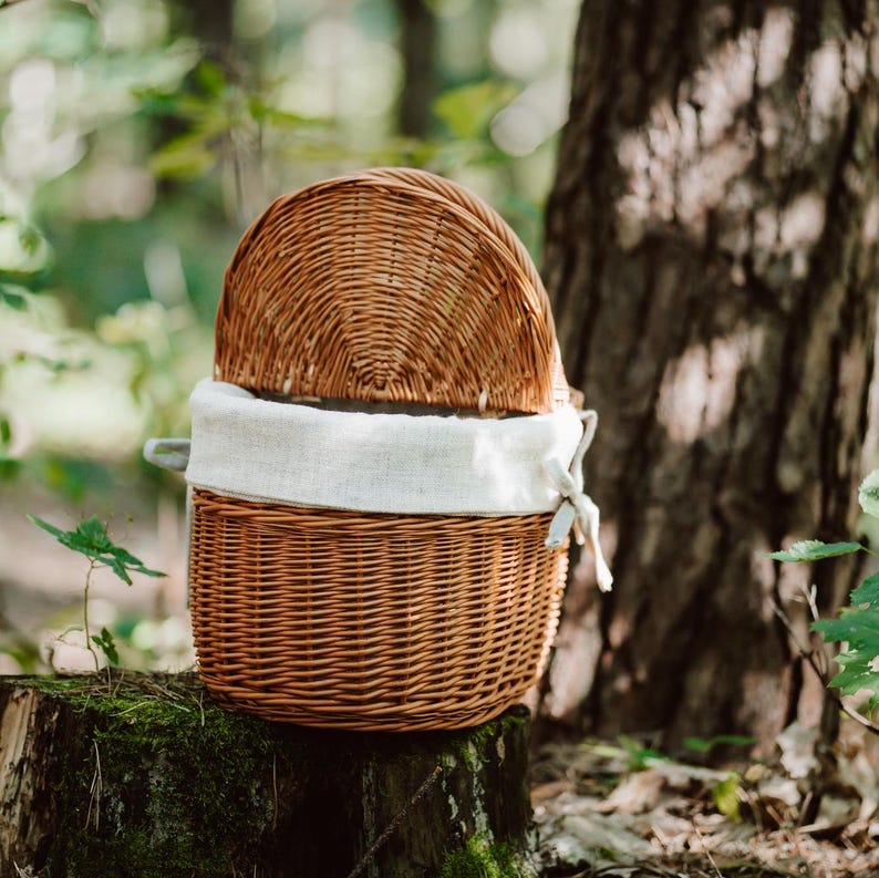 May include: A brown wicker picnic basket with a white linen lining. The basket is sitting on a tree stump in a forest setting.