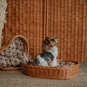 Peut inclure: Un petit chien avec un nœud rouge est assis dans un panier en osier en forme de cœur avec un coussin à motifs. Le lit est ouvert, et un autre lit en osier en forme de cœur est derrière lui. L'arrière-plan est un mur tissé.