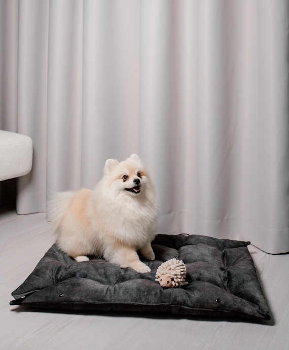 Modern Dog Bed Designer for Dogs Pillow for Puppy Custom Dog Bed