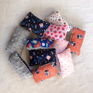 Mini Pillows with Minky Bubble Fleece by Gizmo & Co , Mix &#39;n&#39; match, Guinea Pig Mini Pillows, Single (1) pillow