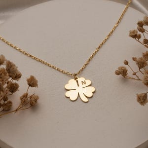 Può includere: Una collana dorata con un ciondolo a forma di quadrifoglio. Il ciondolo ha incisa la lettera "N". La collana è esposta su una superficie bianca con fiori secchi sullo sfondo.