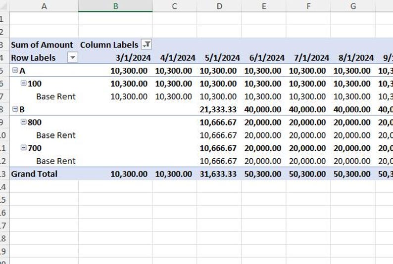 Rent Expense Schedule Generator - Etsy