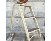 Metal Step Ladder