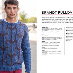 Puede incluir: Un jersey azul con un patr&oacute;n geom&eacute;trico en un tono marr&oacute;n m&aacute;s oscuro. El su&eacute;ter tiene cuello redondo y lo lleva una persona. El texto "BRANDT PULLOVER" es visible en la imagen.
