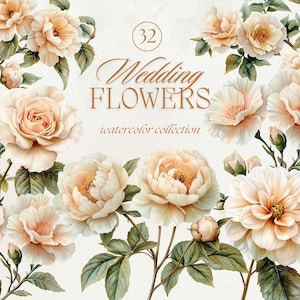 Weiße Blumen Aquarell Clipart, Hochzeit lädt Blumen Clipart, Blumenstrauß PNG, Pfingstrosen-Kranz, Hochzeitseinladung, Elfenbein-Blumensträuße ein