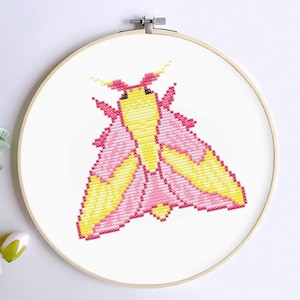 Rosy Maple Moth cross stitch pattern for Beginners easy cute home decor cross stitch insect bugs outdoorsy whimsical