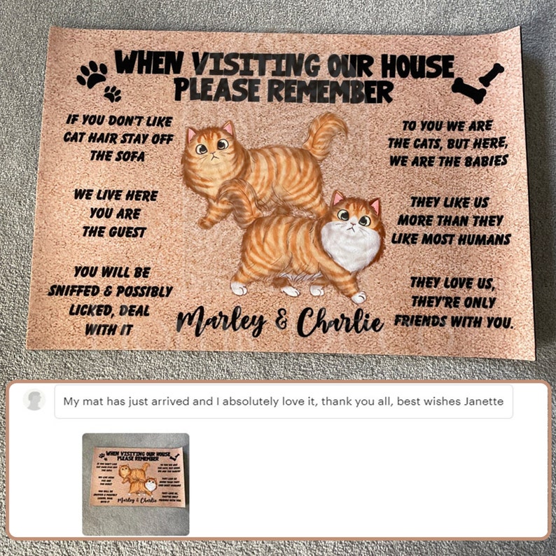 Please Remember When Visiting Cats House Personalized Doormat Etsy