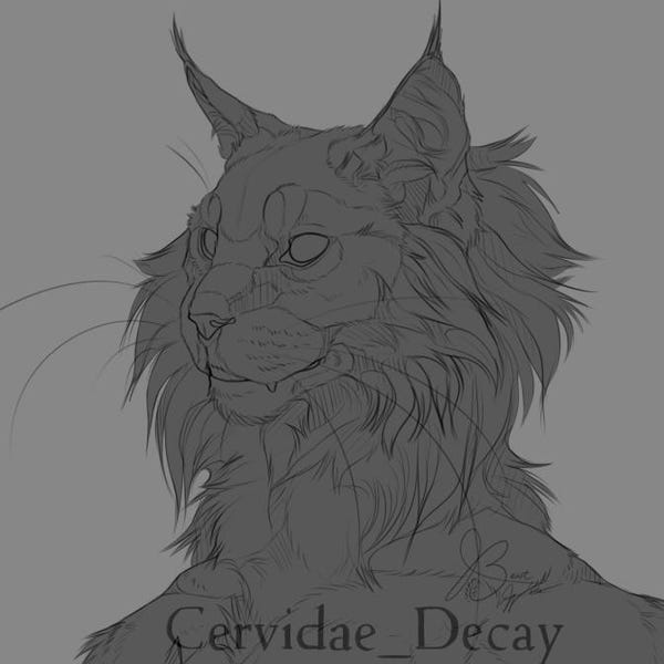 Furry Cat Base - Etsy