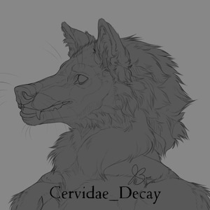 Può includere: Disegno a linea di una testa di lupo di profilo, con una criniera pelosa e la bocca leggermente aperta. Il disegno è in bianco e nero e ha uno stile semplice e pulito. Il testo "Cervidae_Decay" è scritto sotto il disegno.