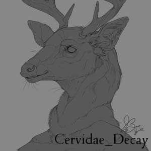 Puede incluir: Dibujo lineal detallado de la cabeza y el cuello de un ciervo, con astas prominentes y un patrón de pelaje texturizado. La obra de arte está en tonos de gris, con el texto "Cervidae_Decay" en la parte inferior.